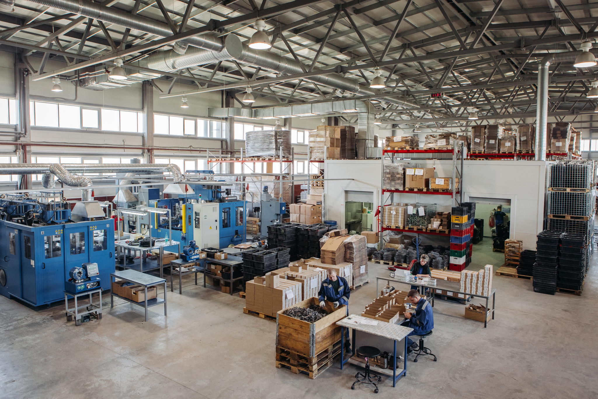 strimer-62.jpg strimer-62.jpg